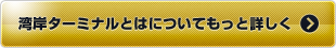 湾岸ターミナルとはについてもっと詳しく