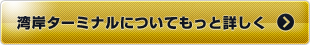 湾岸ターミナルについてもっと詳しく