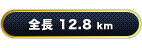 全長