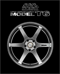 ＡＶＳ　ＭＯＤＥＬ　Ｔ６