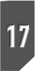 Rank17