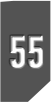 Rank55