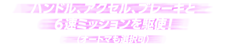 ハンドル、アクセル、ブレーキと６速ミッションを駆使！（オートマも選択可）