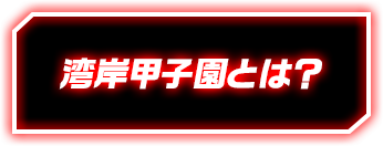 湾岸甲子園とは？