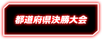 都道府県決勝大会