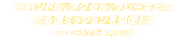 ハンドル、アクセル、ブレーキと６速ミッションを駆使！（オートマも選択可）